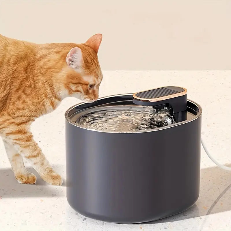 Fuente Mascota Negra